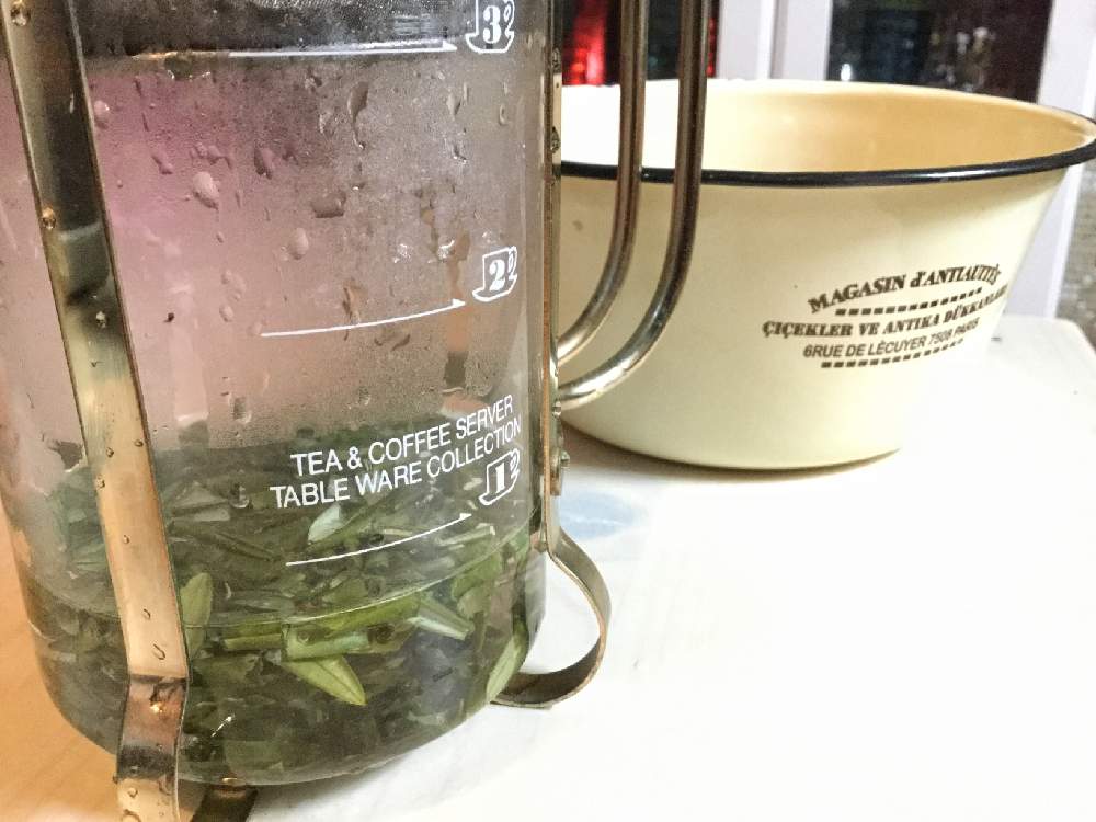 身体と美容に最適オリーブ茶の作り方 Greensnap グリーンスナップ