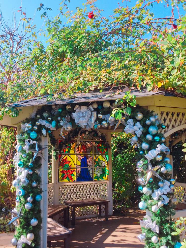 キュンキュン乙女倶楽部の投稿画像 By おんぷ さん 冬晴れ とすてき と横浜イングリッシュガーデンと晴れた横浜とおさんぽ横浜とクリスマスとiphone撮影 19月12月日 Greensnap グリーンスナップ キュンキュン乙女倶楽部の投稿画像 By おんぷ さん 冬晴れ とすてき と横浜イングリッシュガーデンと晴れた横浜とおさんぽ横浜とクリスマスとiphone撮影 19月12月日 Greensnap グリーンスナップ