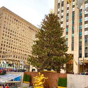クリスマスデコレーションの画像 by ミンティーさん | お出かけ先とニューヨーク　ロックフェラーセンターとクリスマスツリーとNYとクリスマスデコレーションとエバーグリーンと大きな木と癒されるとクリスマスツリー♪と寒空と寒いとクリスマス