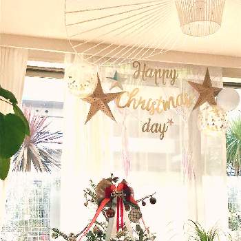 クリスマスデコレーションの画像 by Shonan House Plantsさん | 部屋と名前を教えて！とドラセナとウンベラータともみの木とトックリランとトックリラン(ポニーテール)とエアプランツ☆とポニーテール(トックリラン)とクリスマスツリー♡とクリスマスツリーとモミの木のツリーとクリスマスデコレーションとno green no lifeとクリスマスディスプレイともみの木。とGREEN UP!とインテリアグリーンとクリスマス