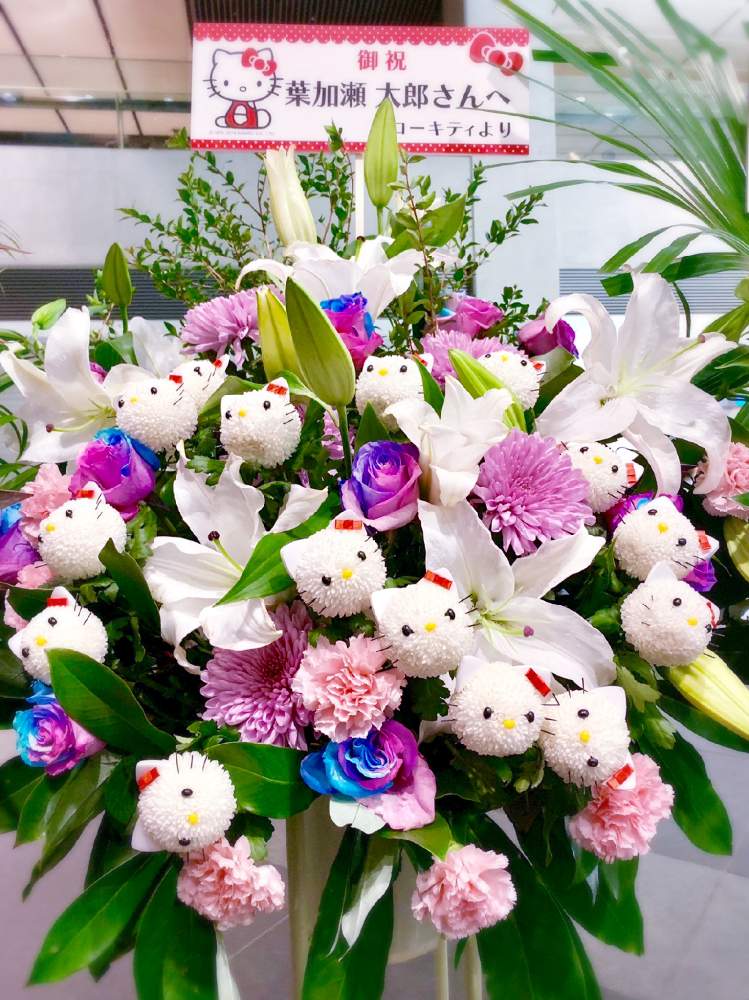 ホワイトフラワーの投稿画像 By Masaminさん ポンポン咲きのマムときく と癒しとねこちゃん とピンポンマム とおでかけ先とフラワーアレンジメントと可愛いと ღ ற かわゅ と花のある暮らしと白い花とユリの花とバラ ミニバラとレインボーバラとまんまる 19