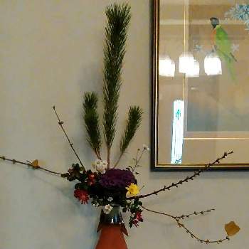 ドラセナ,タニワタリ,ニューサイラン,切り花,フラワーアレンジメントの画像