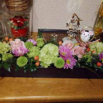 ポンポン菊 の投稿画像一覧 Greensnap グリーンスナップ