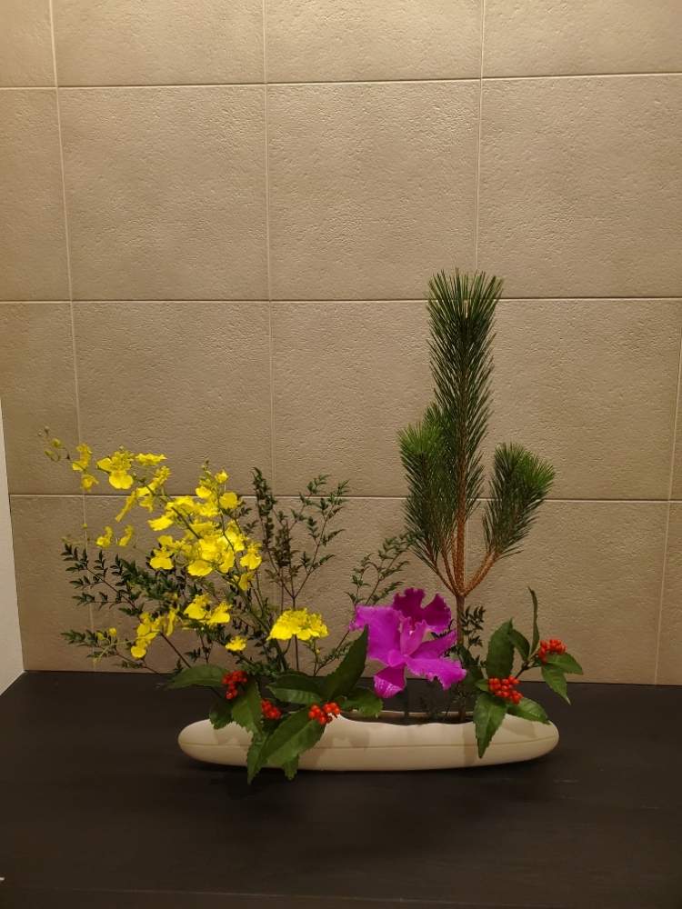 玄関花の投稿画像 By フィリップさん お花を楽しむと季節の花と自由花といけばなと花のある暮らしと 年お正月 フォトコン 月1月1日 Greensnap グリーンスナップ
