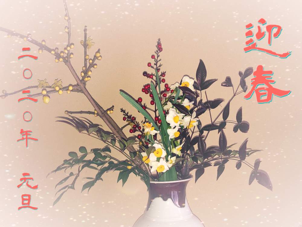 最新な 水仙 南天 お正月花材 フラワー ガーデン Ngocanhstudio Vn 最新な 水仙 南天 お正月花材 フラワー ガーデン Ngocanhstudio Vn