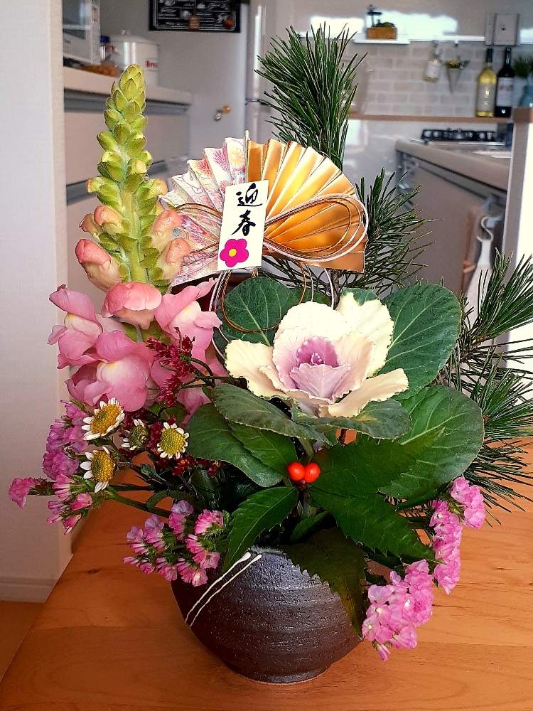 葉牡丹の投稿画像 By モモさん 若松と花のある暮らしとお花大好きとスターチスと千両と金魚草と生け花と生け花 大好きとお部屋に花を飾ろうと花のある暮らしとお花大好きと生け花と生け花大好きとお部屋に花を飾ろう 月1月2日 Greensnap グリーンスナップ