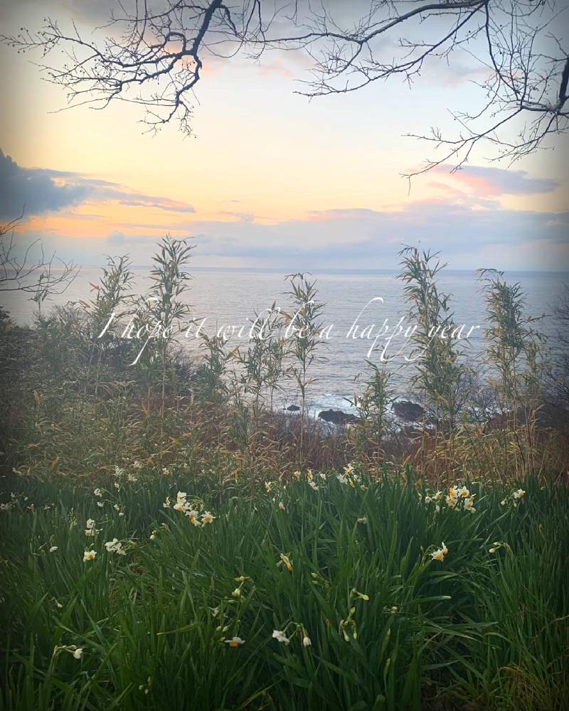 癒しの投稿画像 By マキ さん 風景と 水仙と越前海岸 月1月2日 Greensnap グリーンスナップ