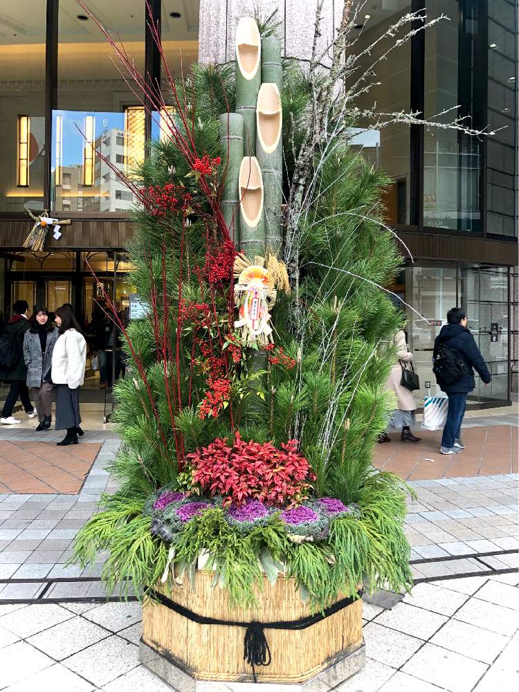 お出かけ先の投稿画像 By スワンさん お正月飾りと門松 と神戸大丸と初売りと神戸元町とお正月飾りと門松 と神戸大丸と初売りと神戸元町 月1月3日 Greensnap グリーンスナップ Greensnap グリーンスナップ