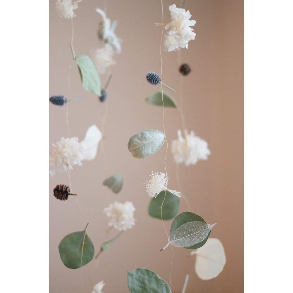 手作りの投稿画像 By Sae Bloomさん 植物のある暮らしとドライフラワーとガーランドと花のある暮らし 月1月3日 Greensnap グリーンスナップ