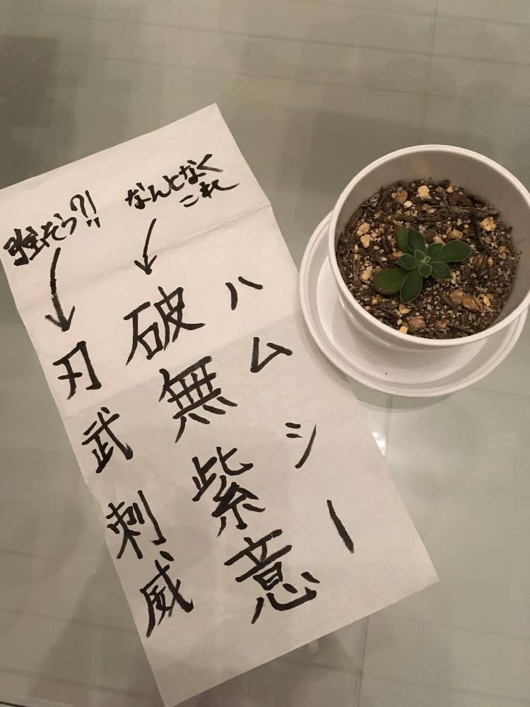 Dadfpmh61h9tr Cloudfront Net 01 08