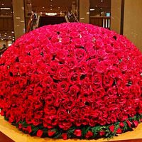 バラ,鮮やか ,元気色,花のある暮らし,華やかの画像