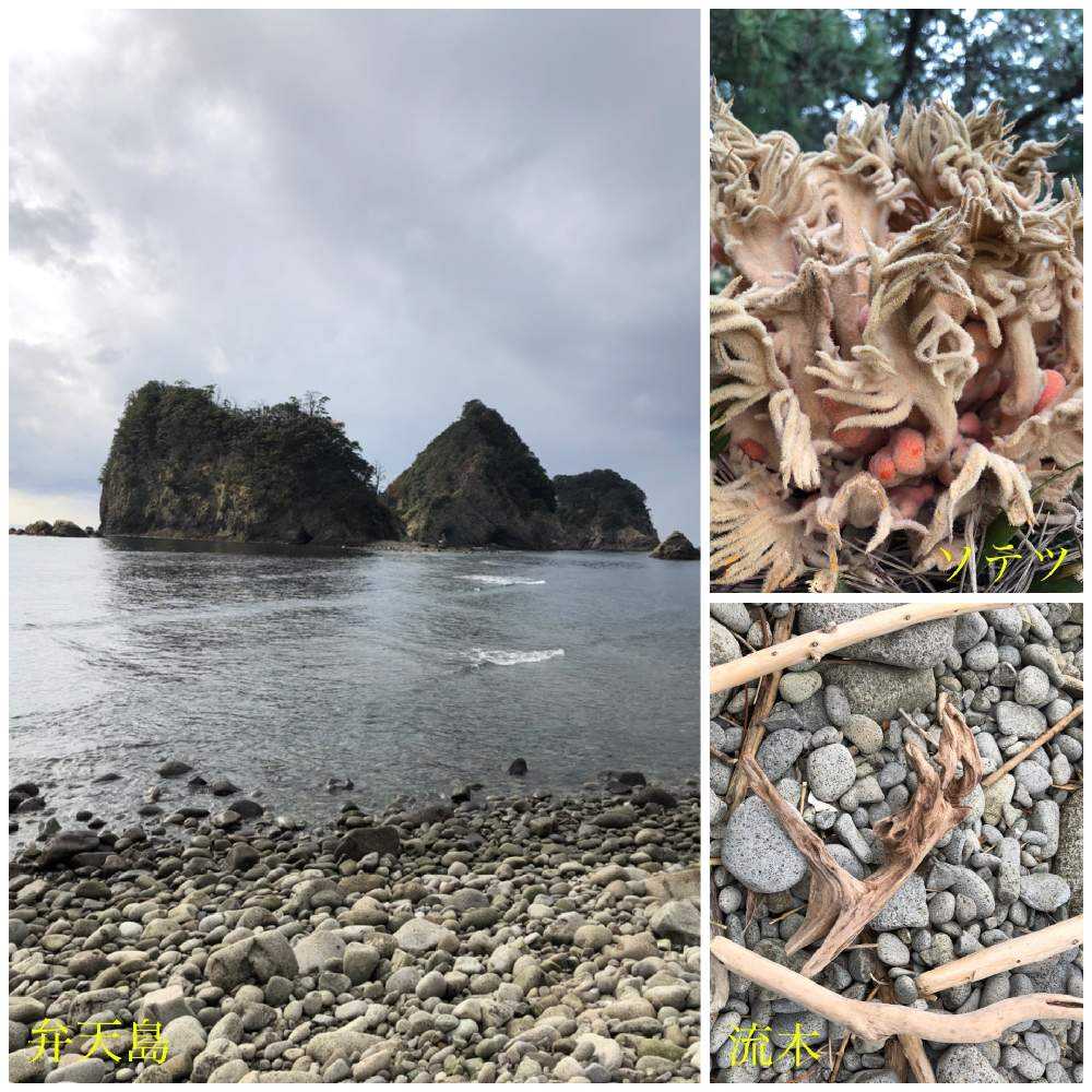 二泊三日 車中泊の伊豆半島旅行 Greensnap グリーンスナップ