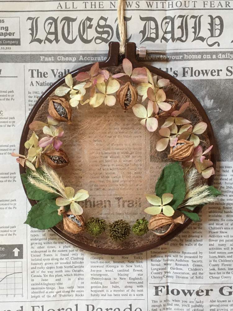 Htcの投稿画像 By ごろちゃんさん 癒しの時間とドライフラワーと刺繍枠アレンジとおきにいりとドライフラワーアレンジとフラワーアレンジメント と花のある暮らしとドライアレンジ 月1月14日 Greensnap グリーンスナップ