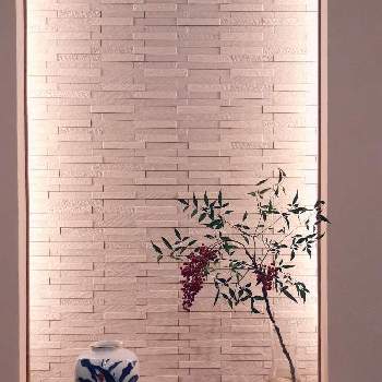 万年青の花瓶の投稿画像一覧 Greensnap グリーンスナップ