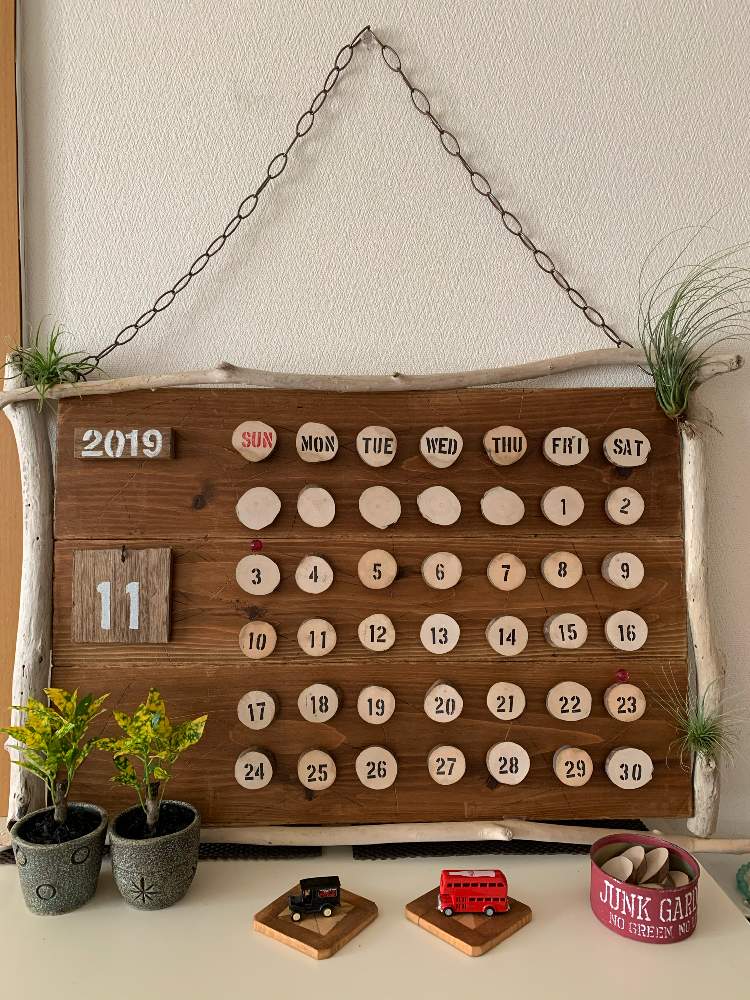 観葉植物の投稿画像 By さくらきくもみじさん 緑のある暮らしと流木とdiyとメルカリとエアプランツと多肉初心者と彼氏くん家 月1月16日 Greensnap グリーンスナップ