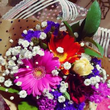 お花屋さんになりたいの投稿画像一覧 Greensnap グリーンスナップ お花屋さんになりたいの投稿画像一覧 Greensnap グリーンスナップ