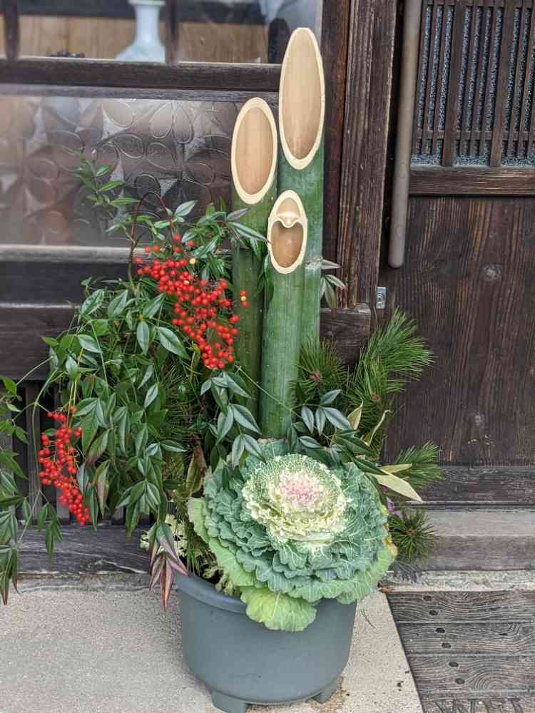 門松の松はどうステる？？？｜🍀GreenSnap（グリーンスナップ）