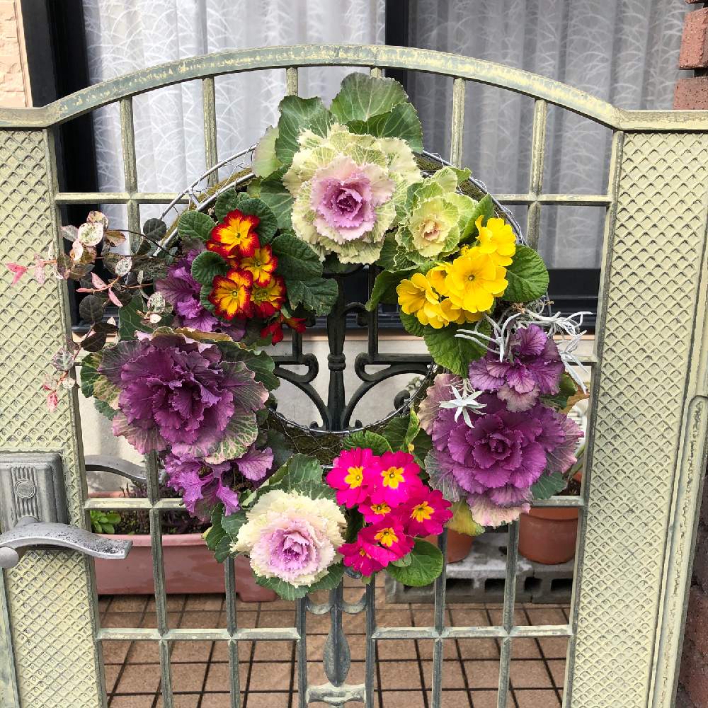 冬に咲く花フォトコンの投稿画像 By さとこさん 冬に咲くフォトコンテストとガーデニングと花のある暮らしと門扉にリースとりーす 月1月日 Greensnap グリーンスナップ