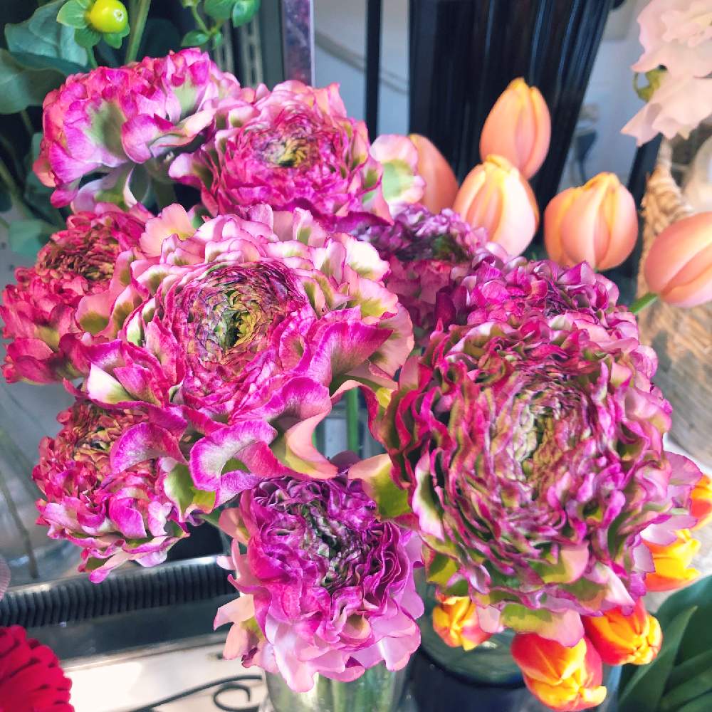 チューリップの投稿画像 By アクア ブルームさん ラナンキュラス マルヴァとつくば花屋とアクアブルームと花を飾ると癒し空間とブーケとお祝い花と花のある暮らしと春を感じると大人かわいい とつくばフラワーショップと花束 月1月日 Greensnap グリーン
