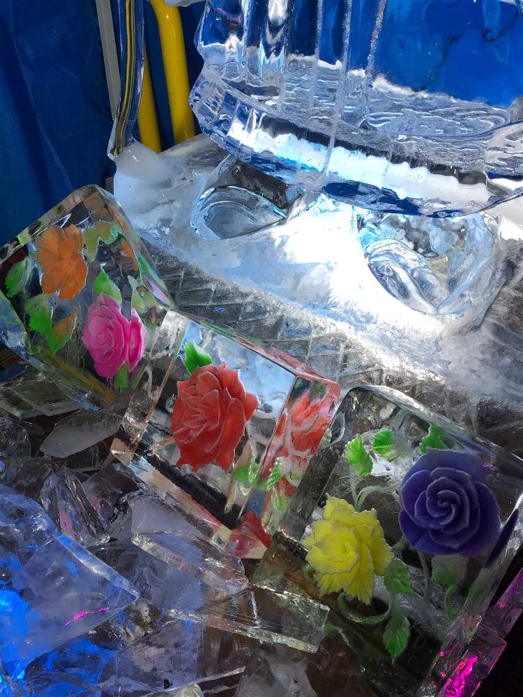 氷 の花 冬の氷彫刻 Greensnap グリーンスナップ