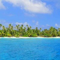 ヤシの木,うみ♪,鮮やか ,元気色,華やかの画像