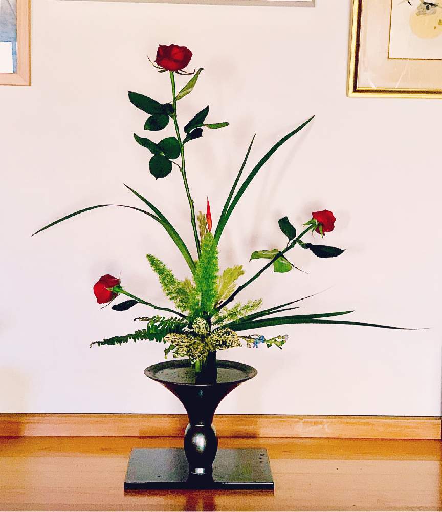 いけばなの投稿画像 By Kuruさん 生け花と池坊と生け花のある暮らし 月1月27日 Greensnap グリーンスナップ