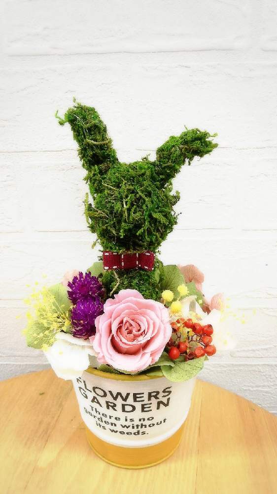 インテリアの投稿画像 By インナチュラル セブンパークアリオ柏店さん アレンジとdiyと花のある暮らしとワークショップ開催予定とアレンジとdiyと花のある暮らしとワークショップ開催予定 月1月29日 Greensnap グリーンスナップ Greensnap グリーン