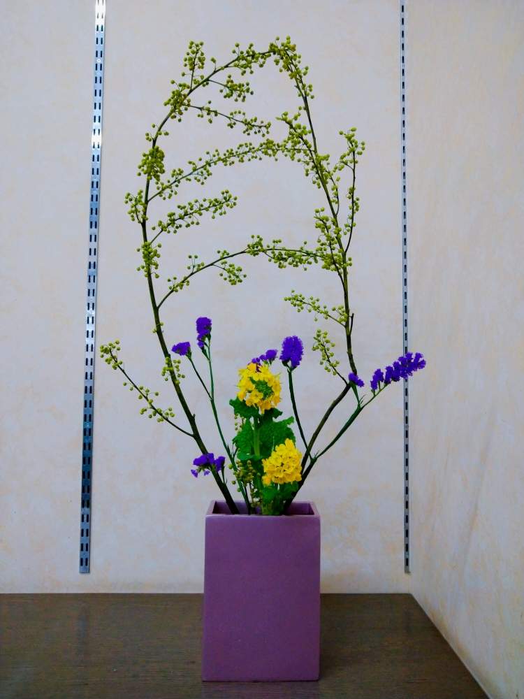 スターチスの投稿画像 By どどどんさん 菜の花と青もじとあおもじと池坊と自由花といけばなと花のある暮らしと菜の花 とスターチス とインテリアとあお もじと池坊と自由花といけばなと花のある暮らしと菜の花 とスターチス 月1月30日 Greensnap グリーン