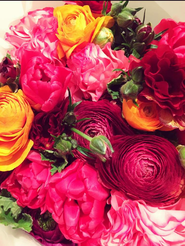 かわいいの投稿画像 By けいさん ブーケと花束と花のある暮らし 月2月1日 Greensnap グリーンスナップ