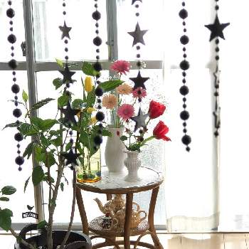 花束みたいの画像 by hitomiさん | 部屋と綺麗〜❤️とはいポーズ❣️とお部屋とフラワーフォトと花束みたいと飾ってみたと美しいと綺麗と花びんと花びんの花と花のある暮らしとかわいいと私のお気に入り