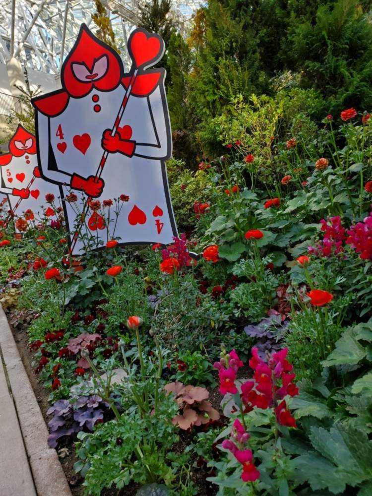 花フェスタ記念公園happy Rose Valentine ハートの女王の恋するガーデン Greensnap グリーンスナップ 花フェスタ記念公園happy Rose Valentine ハートの女王の恋するガーデン Greensnap グリーンスナップ
