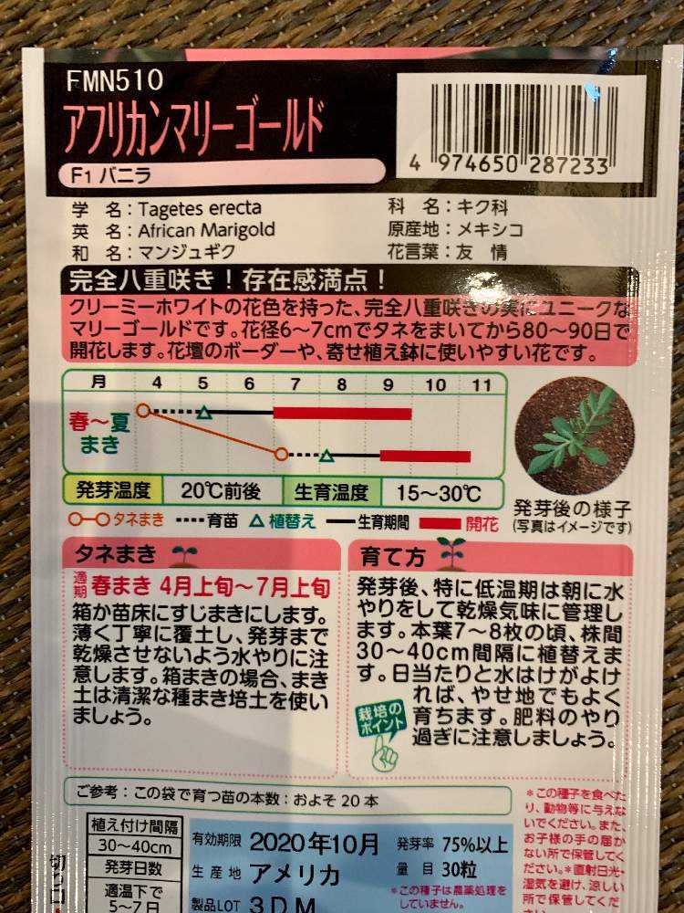 タネから栽培日記 アフリカンマリーゴールド F1 バニラ 完結 Greensnap グリーンスナップ タネから栽培日記 アフリカンマリーゴールド F1 バニラ 完結 Greensnap グリーンスナップ