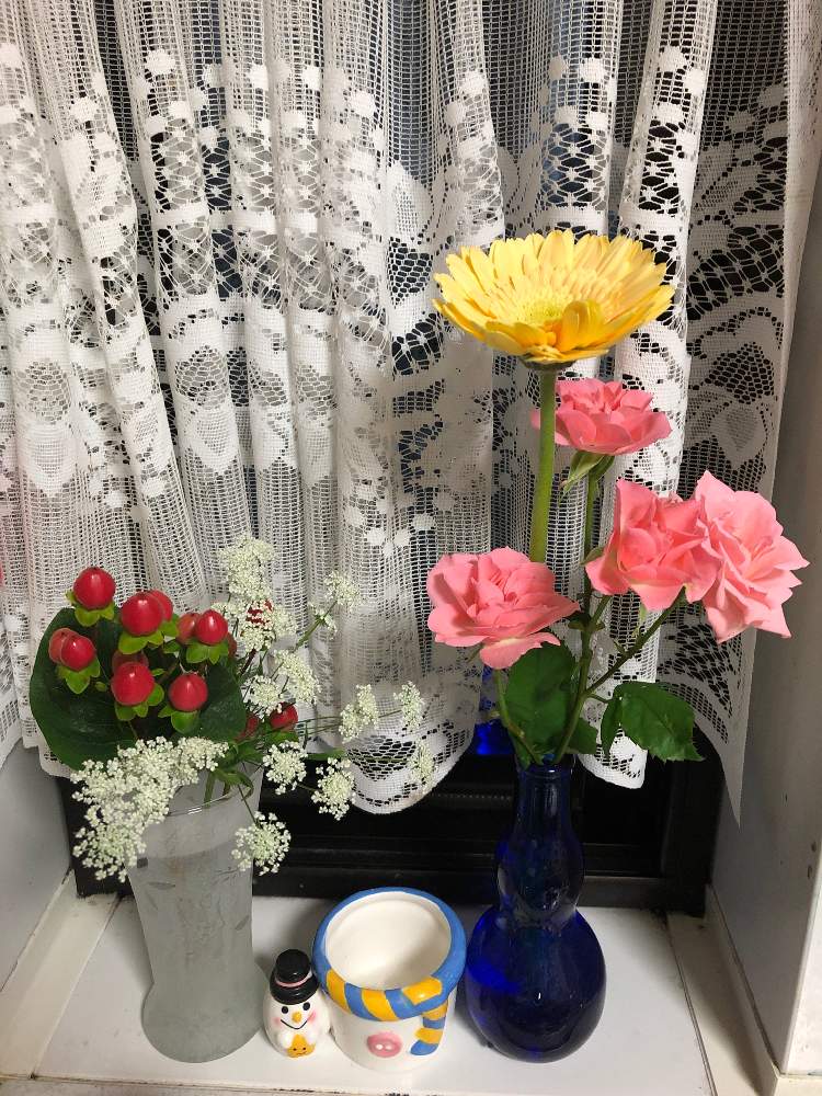 わこさんの投稿画像 月2月4日 Greensnap グリーンスナップ