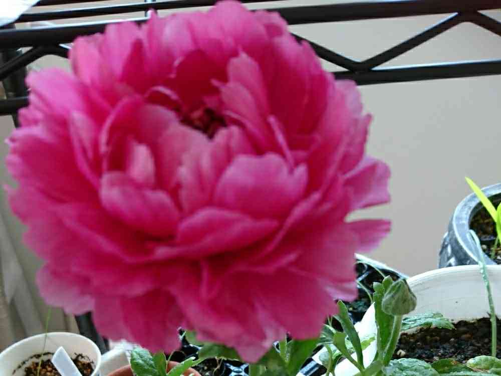 1580871981373_691858_20200205_