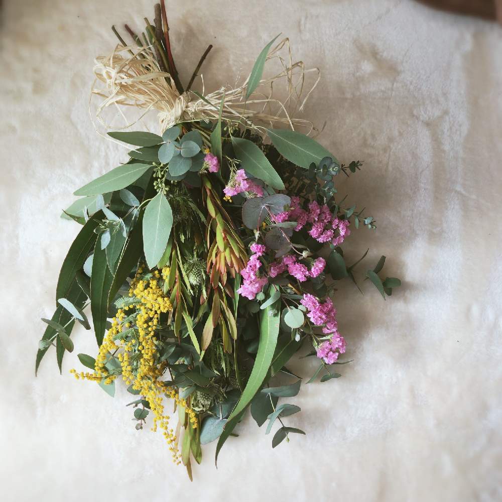 そのままドライの投稿画像 By Ai9さん ドライフラワーとグリーンのある暮らしとグリーン好きとスワッグと季節の花と実物好き 月2月8日 Greensnap グリーンスナップ