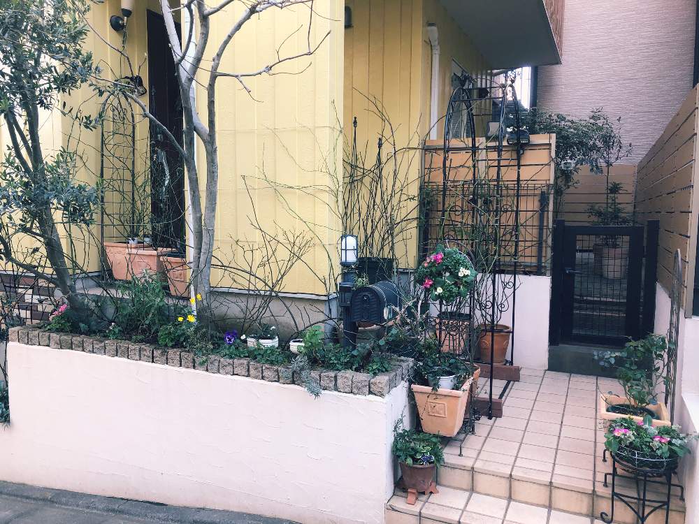 バラ初心者の投稿画像 By Quattro Gattiさん 東京とつるバラと日陰庭と日陰とガーデニング初心者と鉢植えと花のある暮らしと小さな家 月2月9日 Greensnap グリーンスナップ