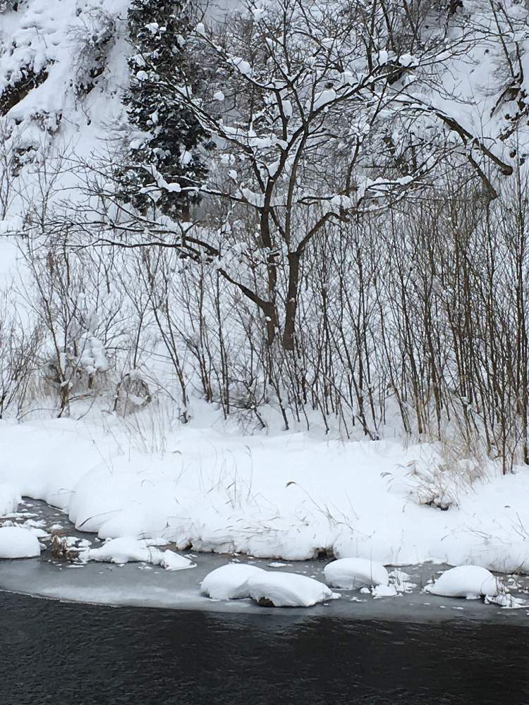 メルカリ 額付き(黒）油絵 uF6-060204 風景 雪景色