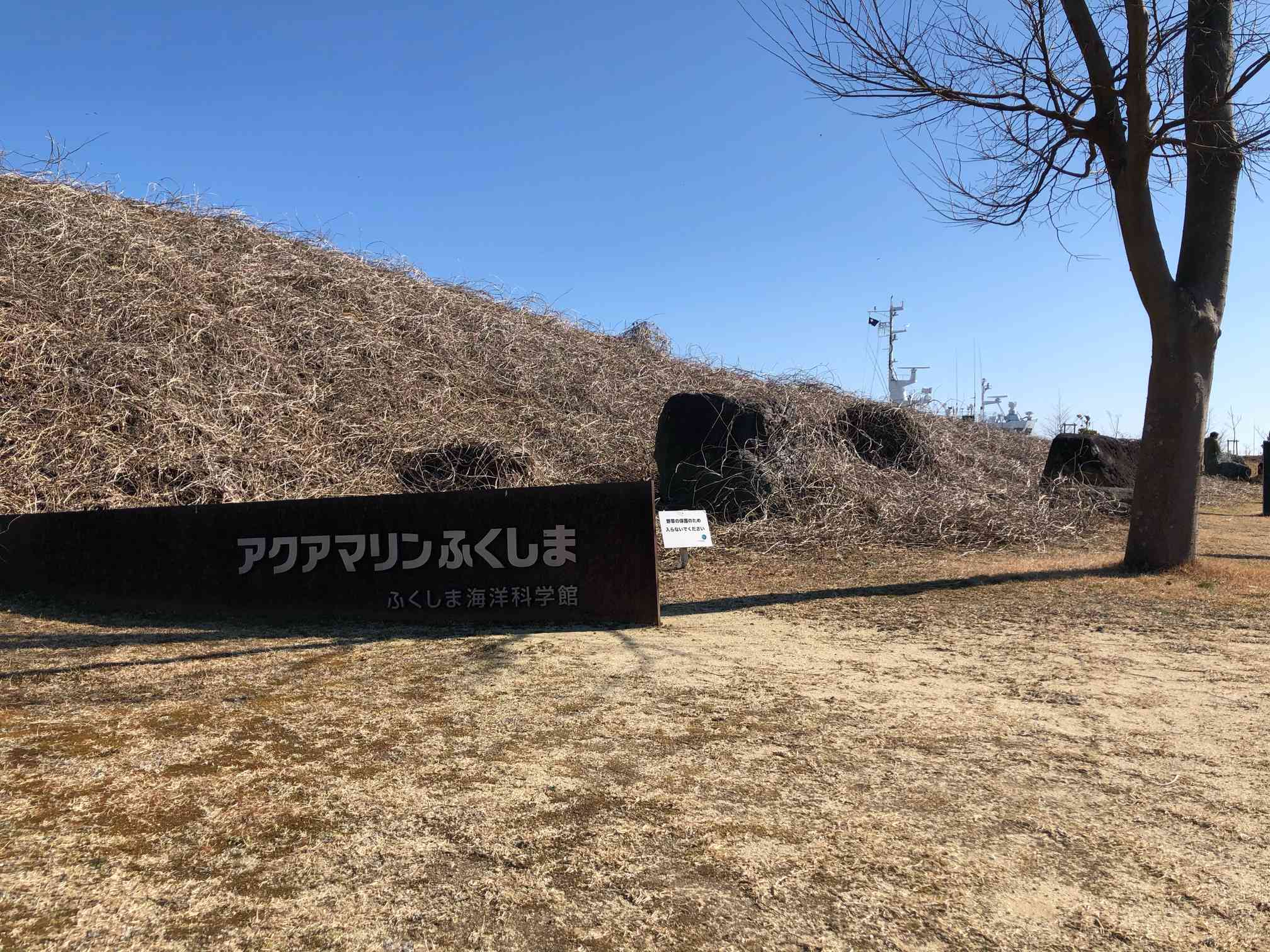 植物好きのためのアクアマリンふくしま｜🍀GreenSnap（グリーンスナップ）