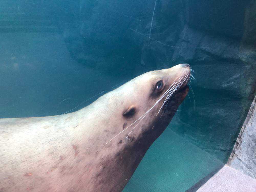 植物好きのためのアクアマリンふくしま｜🍀GreenSnap（グリーンスナップ）