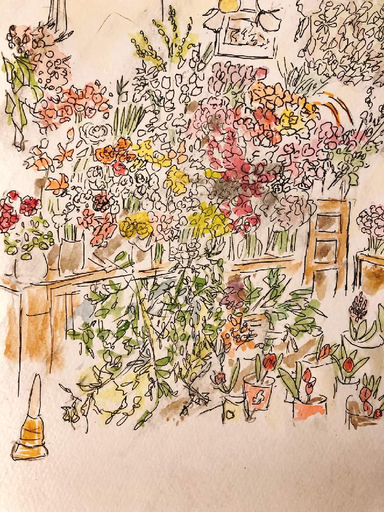 イラストの投稿画像 By ジョージーさん ボタニカルカフェとおでかけ先とカフェと花のある暮らしとお花屋さんカフェとお花屋さん 月2月 11日 Greensnap グリーンスナップ