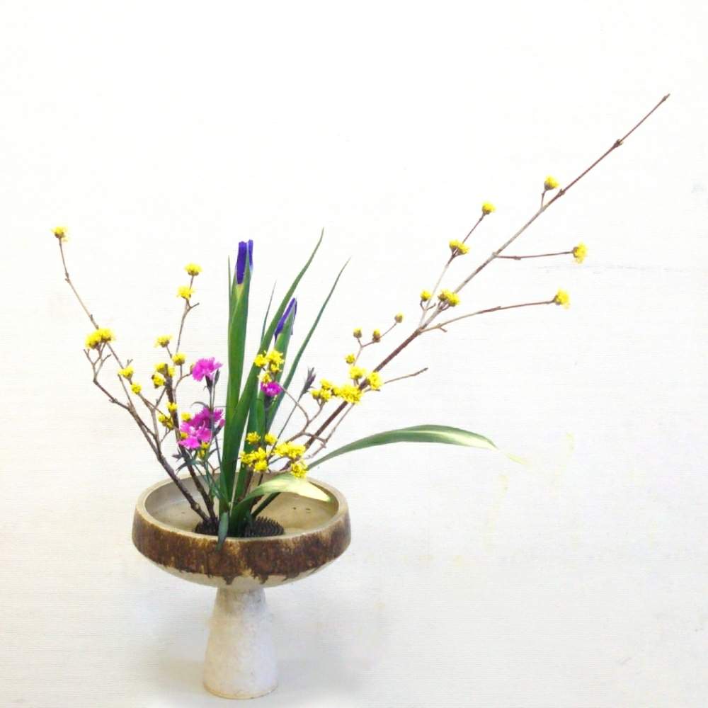 サンシュユの投稿画像 By 圭さん ナデシコとハランとアイリスと日本の文化と日本の伝統とお稽古と自由花といけばなと花のある暮らしと生け花 月2月13日 Greensnap グリーンスナップ