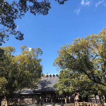 熱田神宮の画像 by ピッチさん | お出かけ先とスマホ撮影と熱田神宮と2月の新緑