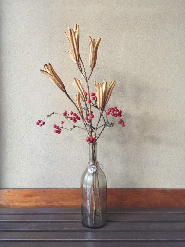 サンキライの投稿画像 By ずずさん ユリの花殻と玄関と酒瓶と酒瓶 月2月15日 Greensnap グリーンスナップ Greensnap グリーンスナップ