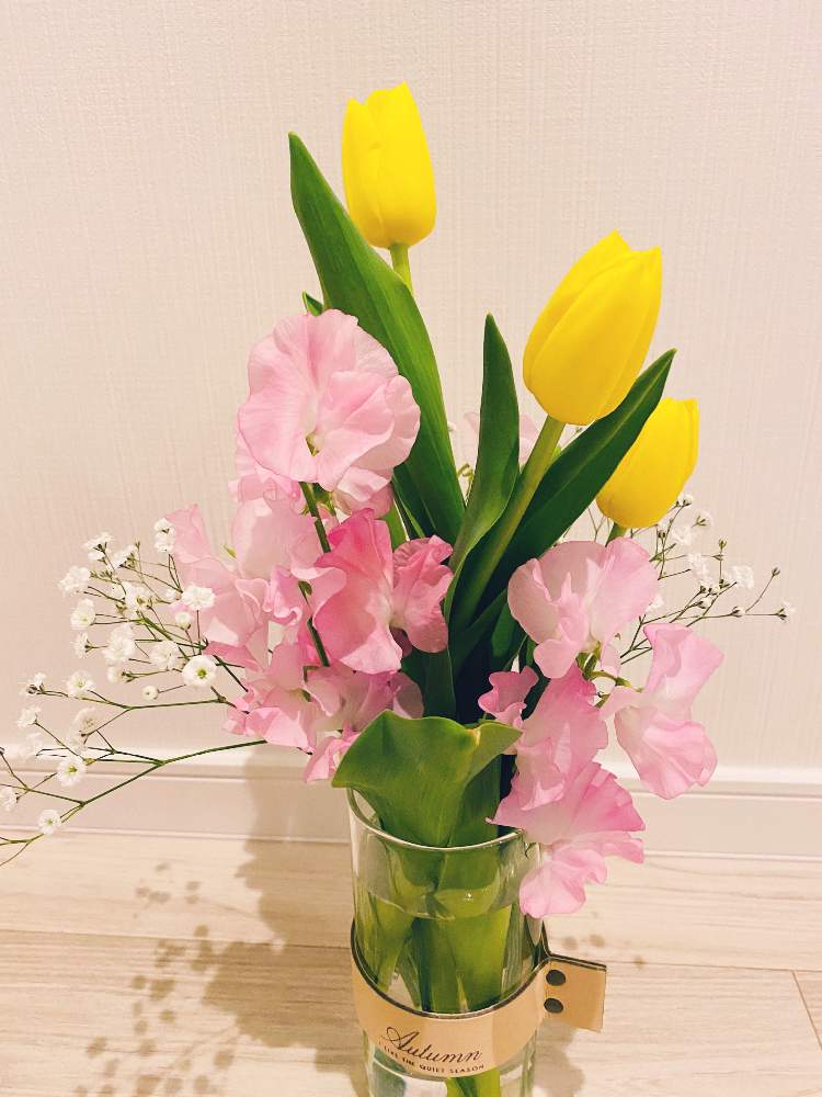 スイートピーの投稿画像 By さやさん チューリップとかすみ草と花のある暮らしと花瓶に生けた花 月2月15日 Greensnap グリーンスナップ