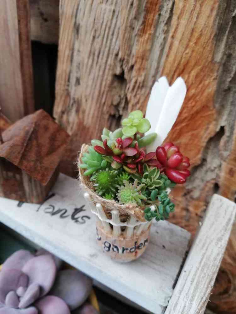 確認用リメイク鉢お花