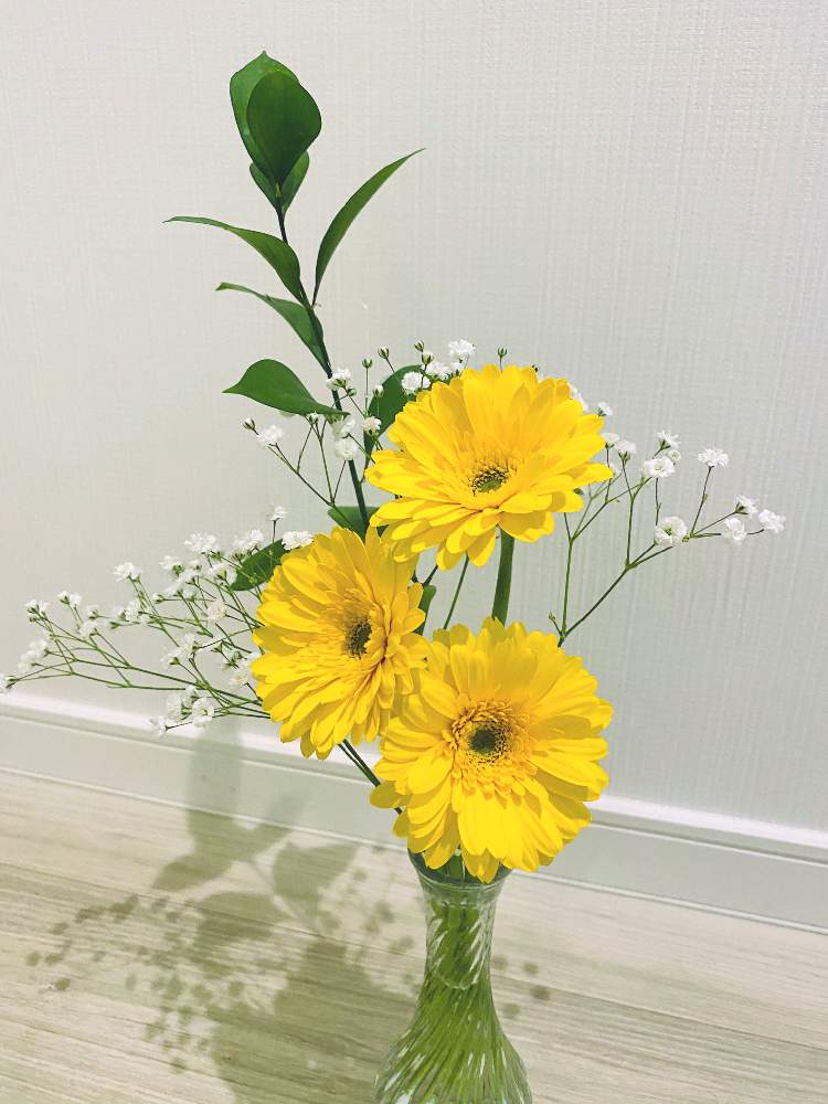 ルスカスの投稿画像 By さやさん ガーベラとかすみ草と花のある暮らしと花瓶に生けた花 月2月16日 Greensnap グリーンスナップ