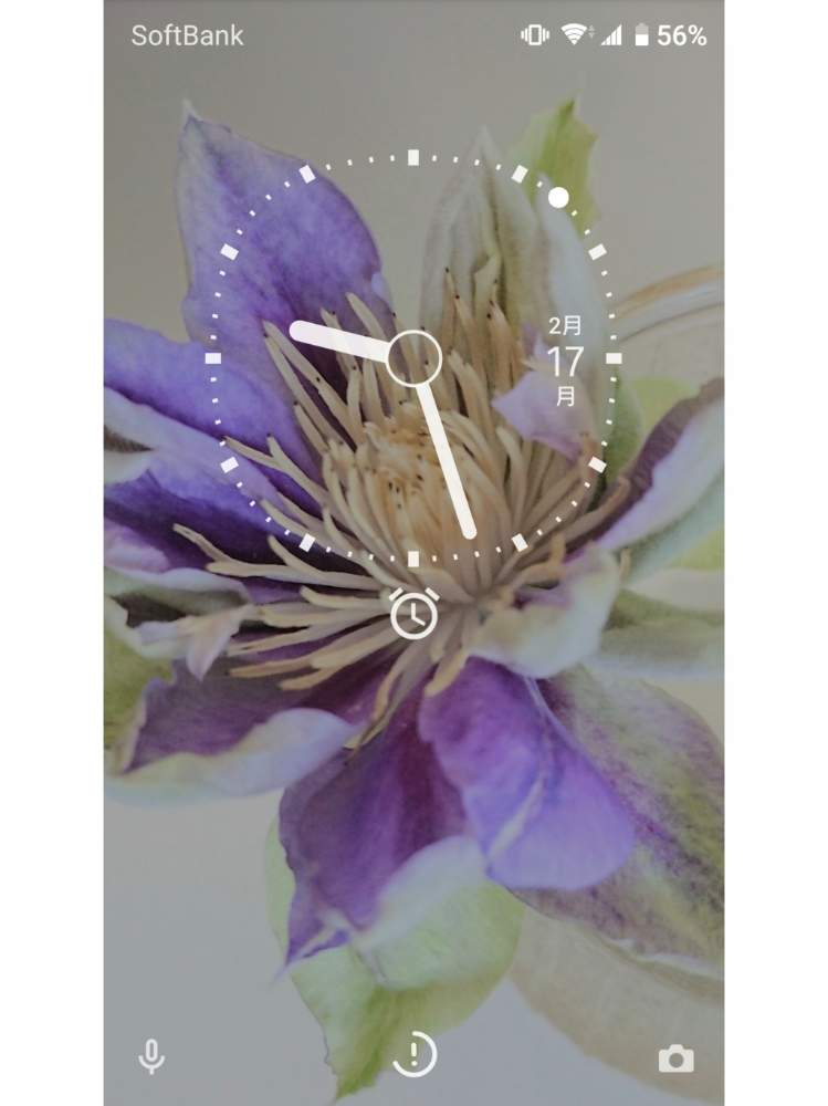 クレマチス の投稿画像 By Blankaさん 可愛い花と壁紙祭りと淡い色の