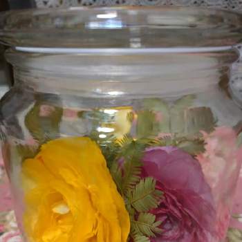 シリカゲルドライ♪の画像 by うさぎさん | インテリアとシリカゲルドライ♪と黄色♪とラナンキュラス♪と癒し系と可愛い〜♡とお気に入りのお花屋さんと春色♪と花のある暮らし