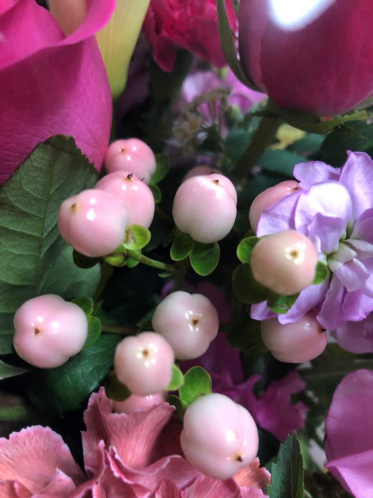 ヒペリカムの投稿画像 By プルメリアさん ピンクの花とかわいい とハナジョと花のある暮らしとお花好きとプレゼントと花束 月2月18日 Greensnap グリーンスナップ