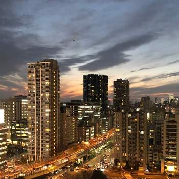 首都高都心環状線の投稿画像一覧 Greensnap グリーンスナップ